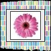 Bloemen Avatars 