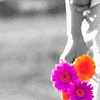 Bloemen Avatars 