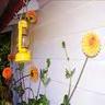 Bloemen Avatars 
