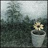 Bloemen Avatars 