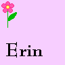 Bloemen Avatars 