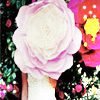 Bloemen Avatars 