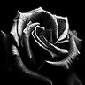 Bloemen Avatars 
