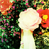 Bloemen Avatars 