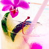 Bloemen Avatars 
