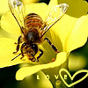 Bloemen Avatars 
