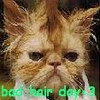 Avatars Haar 