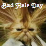 Avatars Haar 