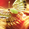 Avatars Haar 