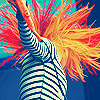 Avatars Haar 