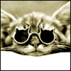 Humor Avatars 