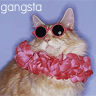 Humor Avatars Dikke Poes Met Bril En Stola Gangsta