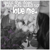 Liefde Avatars 