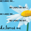 Liefde Avatars 