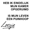 Avatars Loesje Heb Ik Eindelijk Mijn Kamer Opgeruimdis Mijn Leven Een Puinhoop