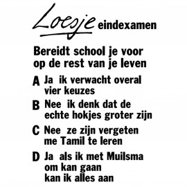 Avatars Loesje 