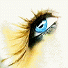 Avatars Ogen 