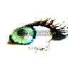 Avatars Ogen 