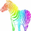 Avatars Regenboog 