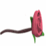 Rozen Avatars 