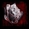 Rozen Avatars 