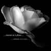 Rozen Avatars 