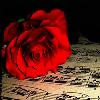 Rozen Avatars 