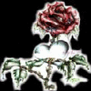 Rozen Avatars 