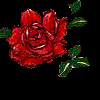 Rozen Avatars 