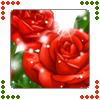 Rozen Avatars 