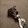 Rozen Avatars 