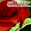 Rozen Avatars 