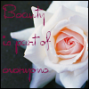 Rozen Avatars 