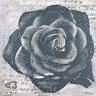 Rozen Avatars 