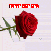 Rozen Avatars 