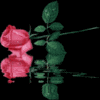 Rozen Avatars 