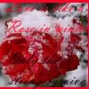 Rozen Avatars 
