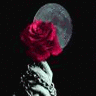 Rozen Avatars 