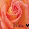 Rozen Avatars Love For Ever