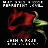 Rozen Avatars 