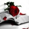 Rozen Avatars 