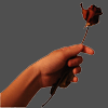 Rozen Avatars 