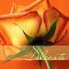 Rozen Avatars 