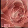 Rozen Avatars 