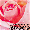 Rozen Avatars 