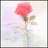 Rozen Avatars 