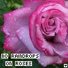 Rozen Avatars 