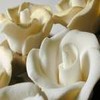 Rozen Avatars 
