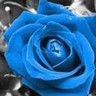 Rozen Avatars 