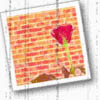 Rozen Avatars 
